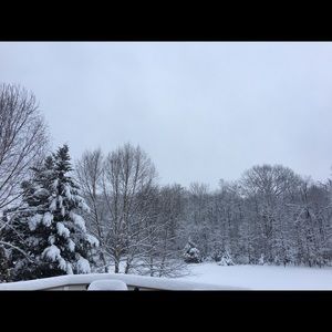 Meet your Posher, Cathy